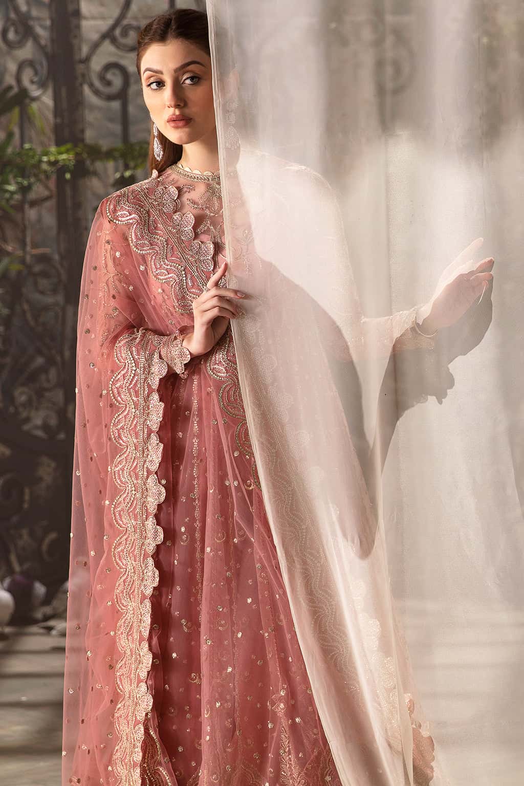 Rosa - Image 3